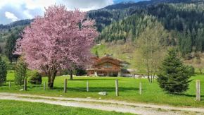 Гостиница Hotel Maso del Brenta  Пинцоло